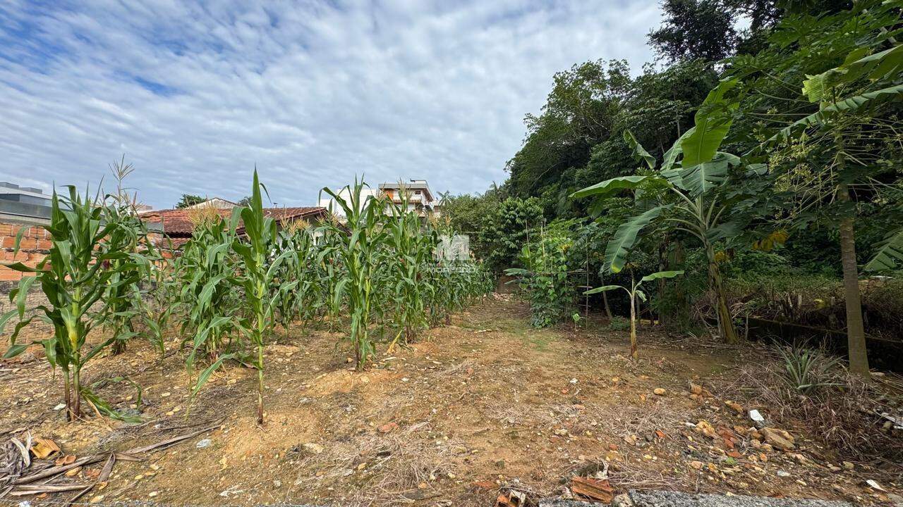 Terreno à venda no bairro Dom Joaquim: 