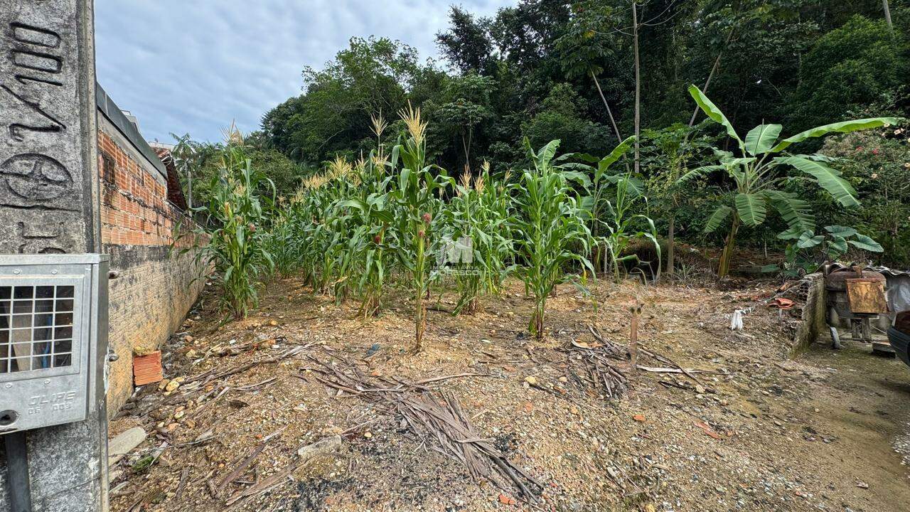 Terreno à venda no bairro Dom Joaquim: 