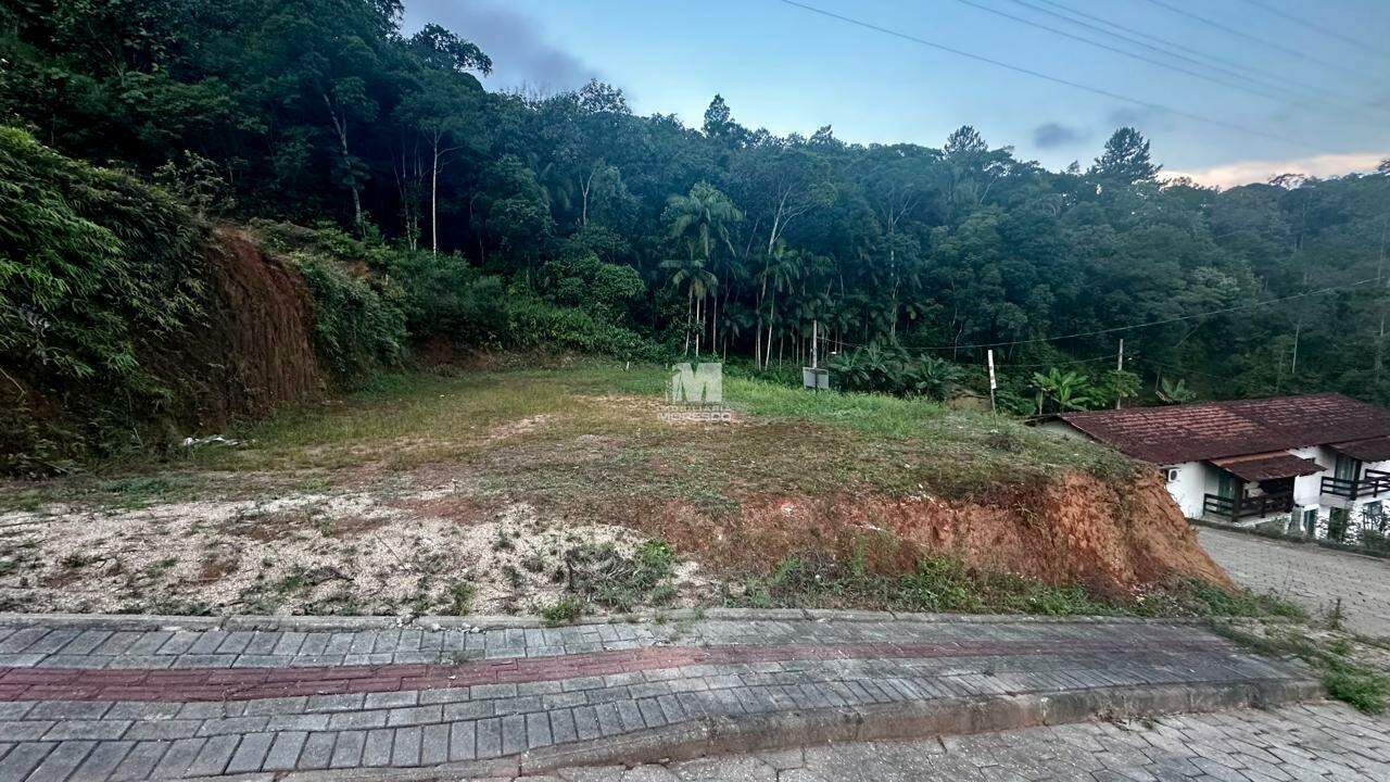 Terreno à venda no bairro Imigrantes: 