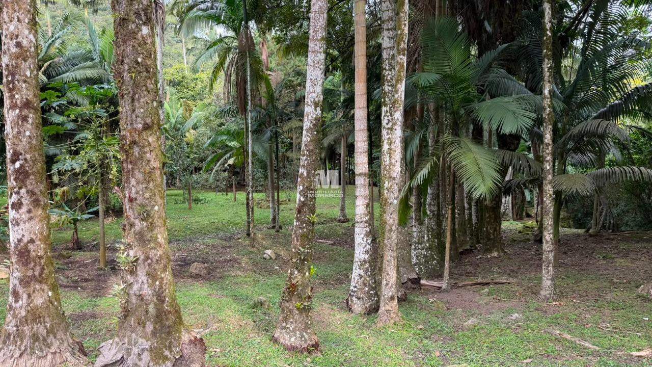 Sítio/Chácara à venda no bairro Guabiruba: 