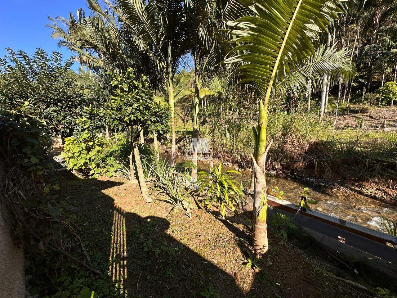 Casa à venda no bairro Cedro Grande: 