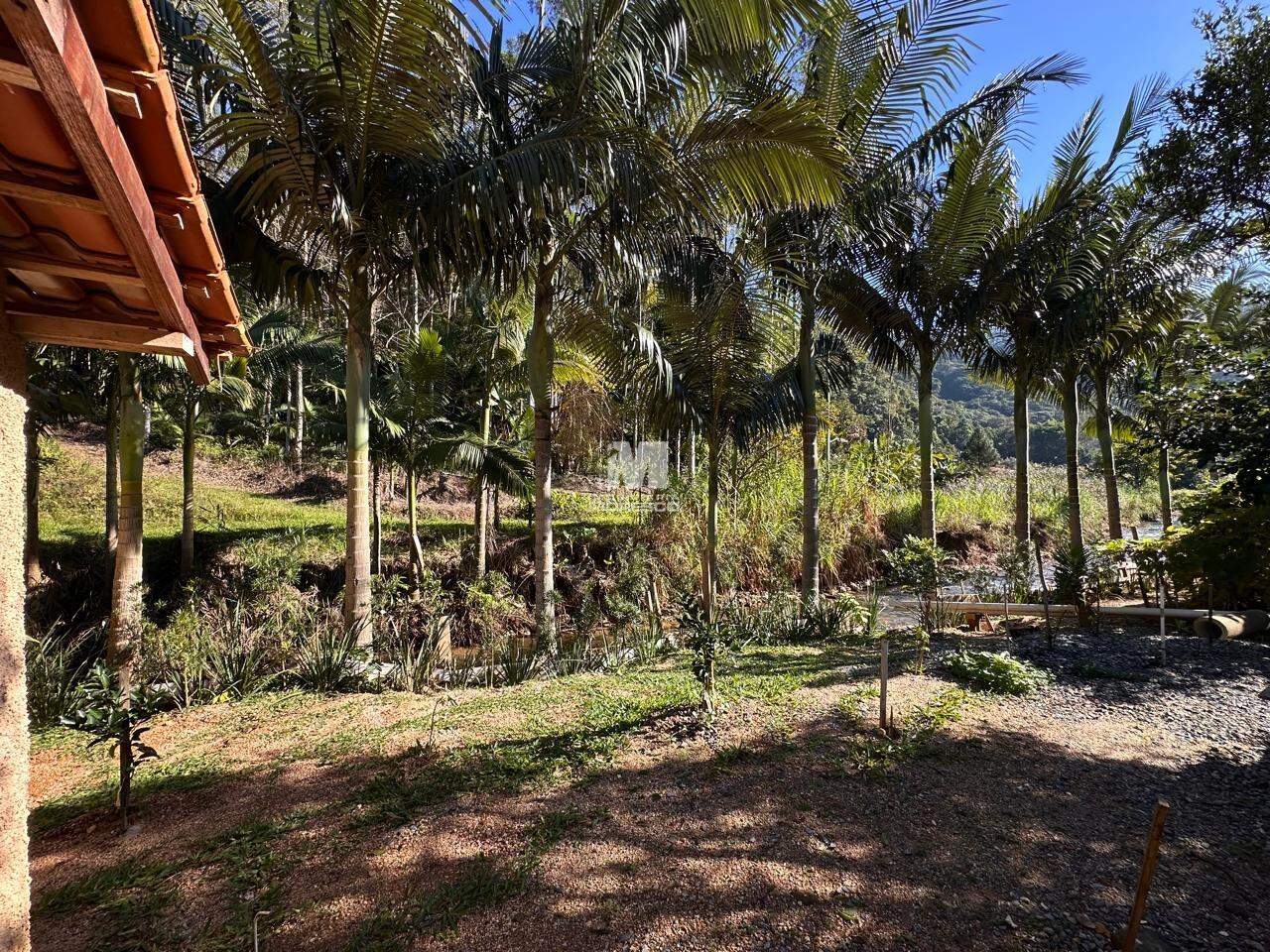 Casa à venda no bairro Cedro Grande: 