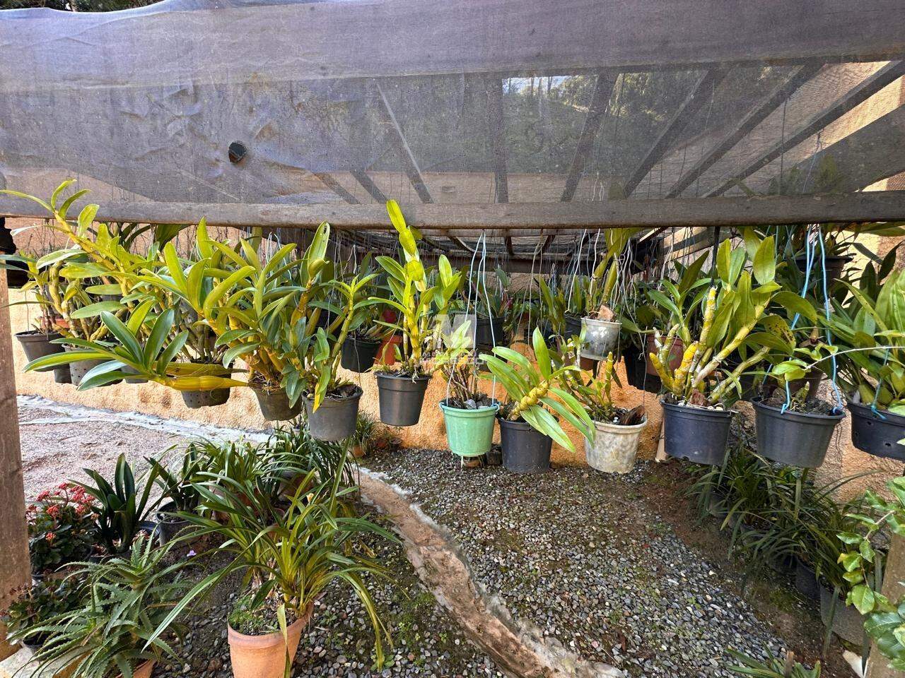 Casa à venda no bairro Cedro Grande: 