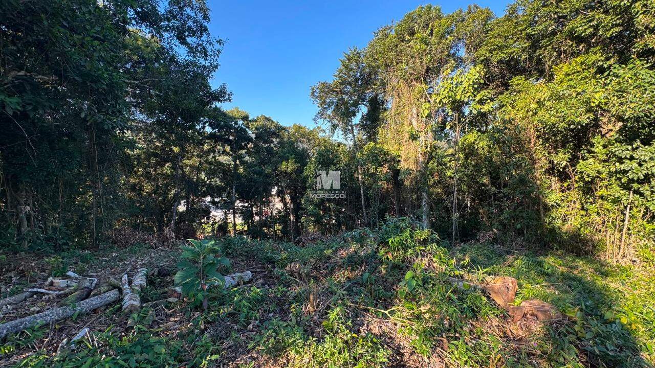 Terreno à venda no bairro Dom Joaquim:
