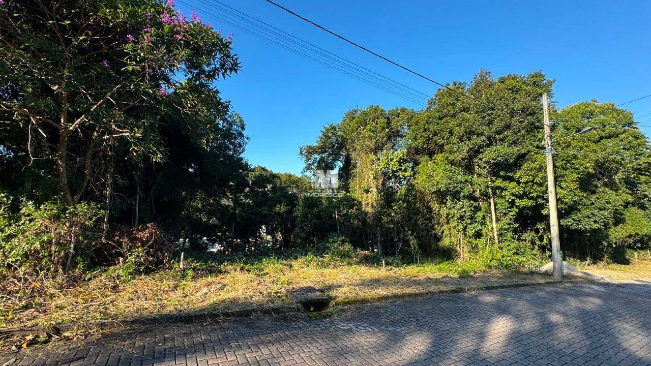 Terreno à venda no bairro Dom Joaquim: 