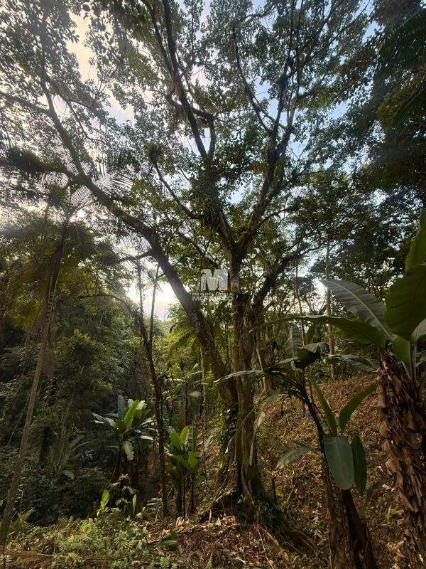 Sítio/Chácara à venda no bairro Guabiruba Sul: