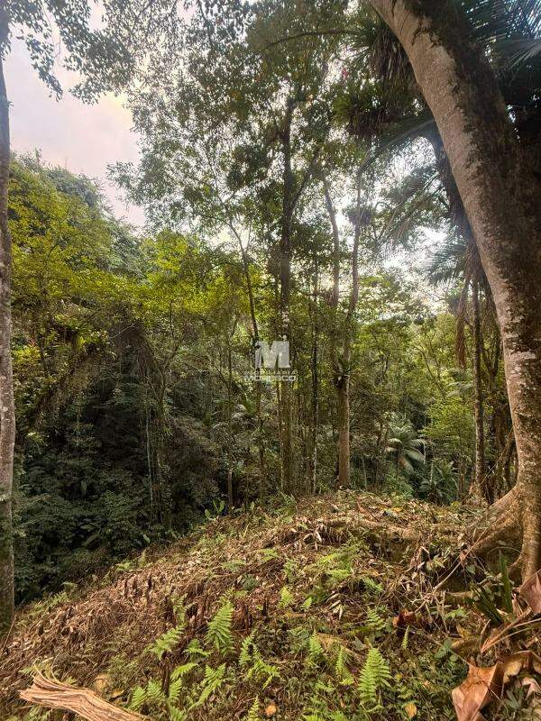 Sítio/Chácara à venda no bairro Guabiruba Sul: