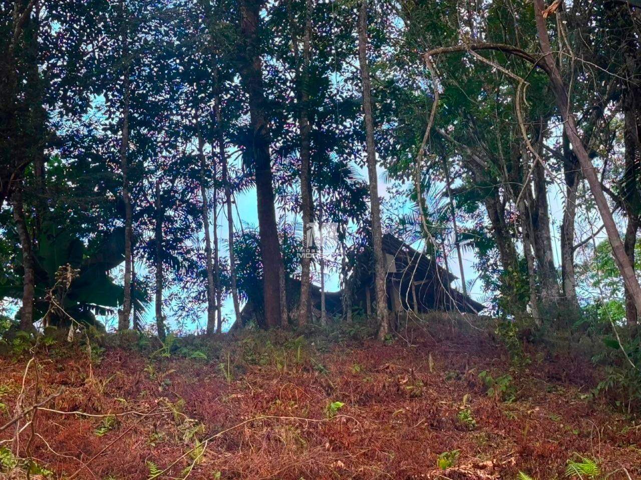 Sítio/Chácara à venda no bairro Guabiruba Sul: 