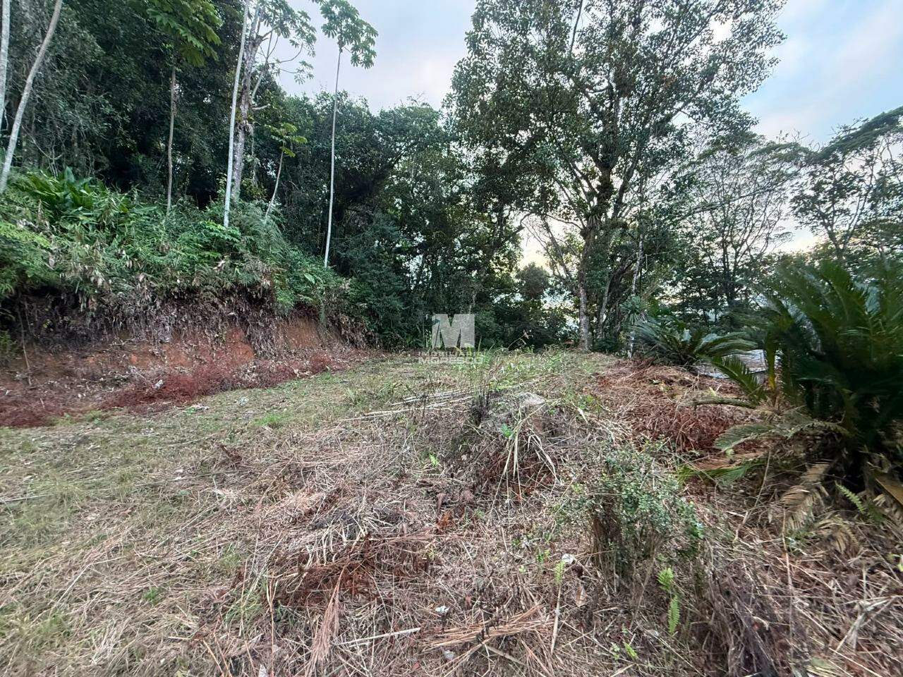 Sítio/Chácara à venda no bairro Guabiruba Sul: 