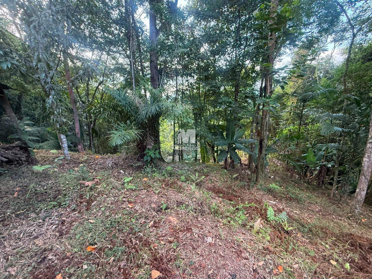 Sítio/Chácara à venda no bairro Guabiruba Sul: