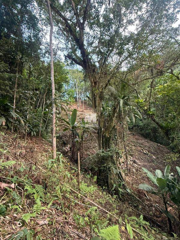 Sítio/Chácara à venda no bairro Guabiruba Sul: