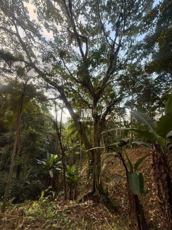 Sítio/Chácara à venda no bairro Guabiruba Sul:
