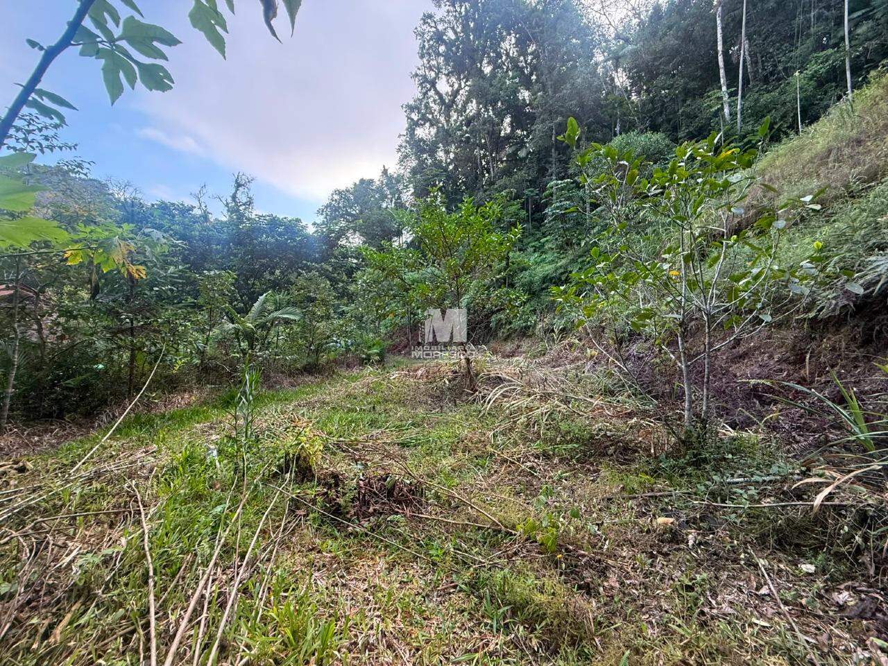 Sítio/Chácara à venda no bairro Guabiruba Sul: