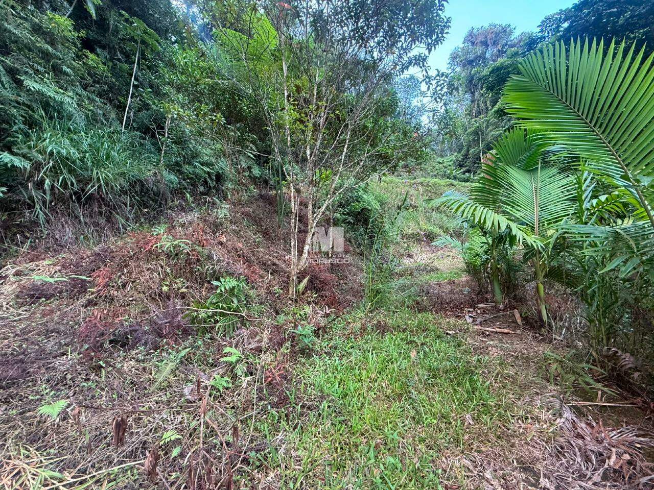 Sítio/Chácara à venda no bairro Guabiruba Sul:
