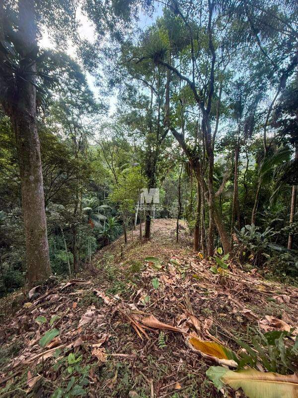 Sítio/Chácara à venda no bairro Guabiruba Sul: