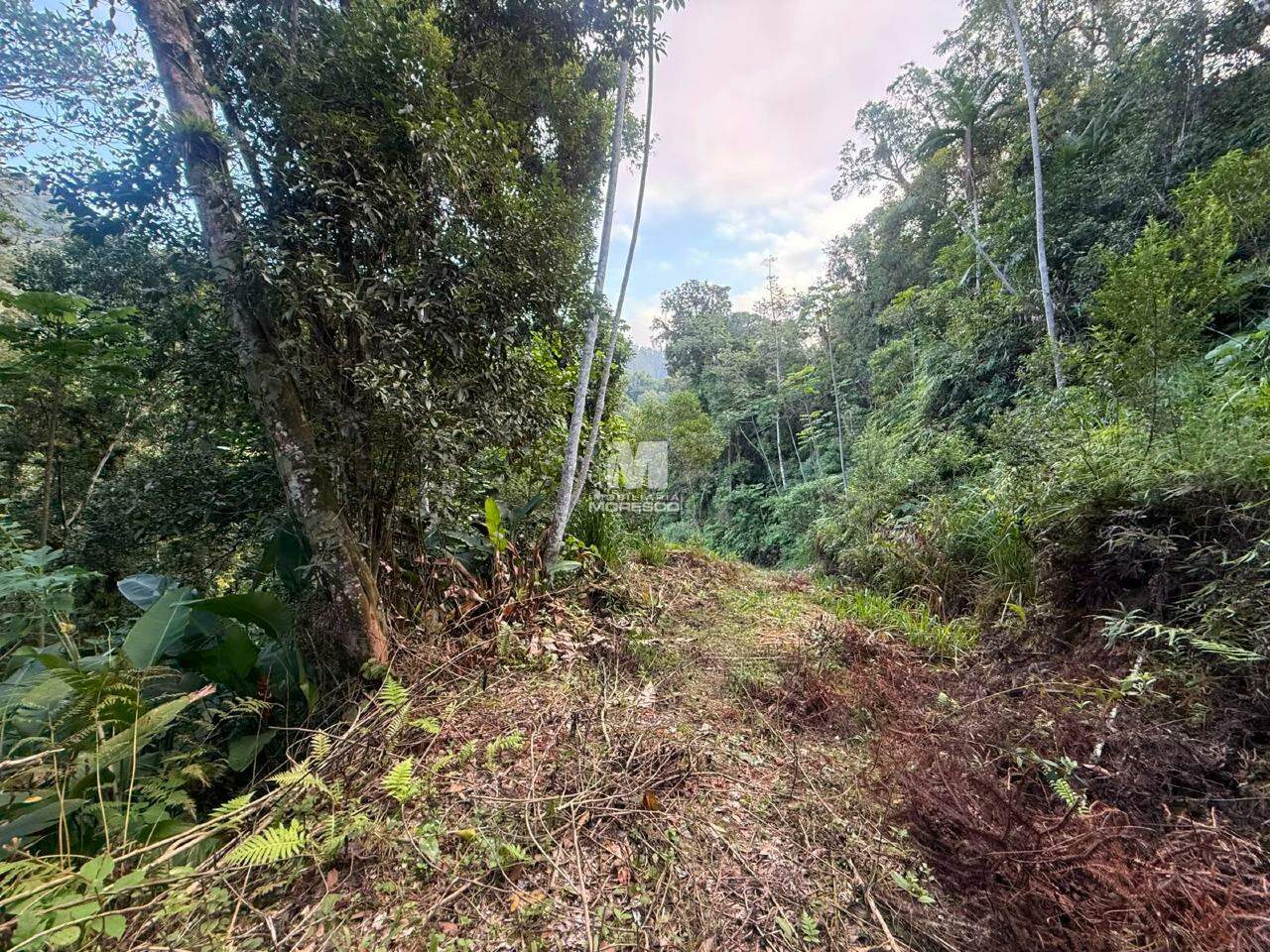 Sítio/Chácara à venda no bairro Guabiruba Sul: