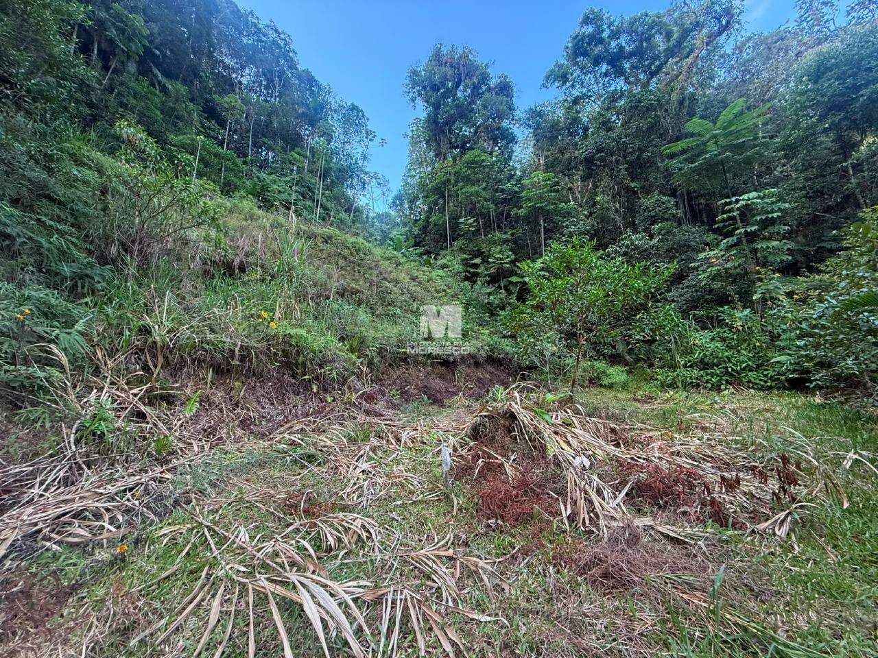 Sítio/Chácara à venda no bairro Guabiruba Sul: