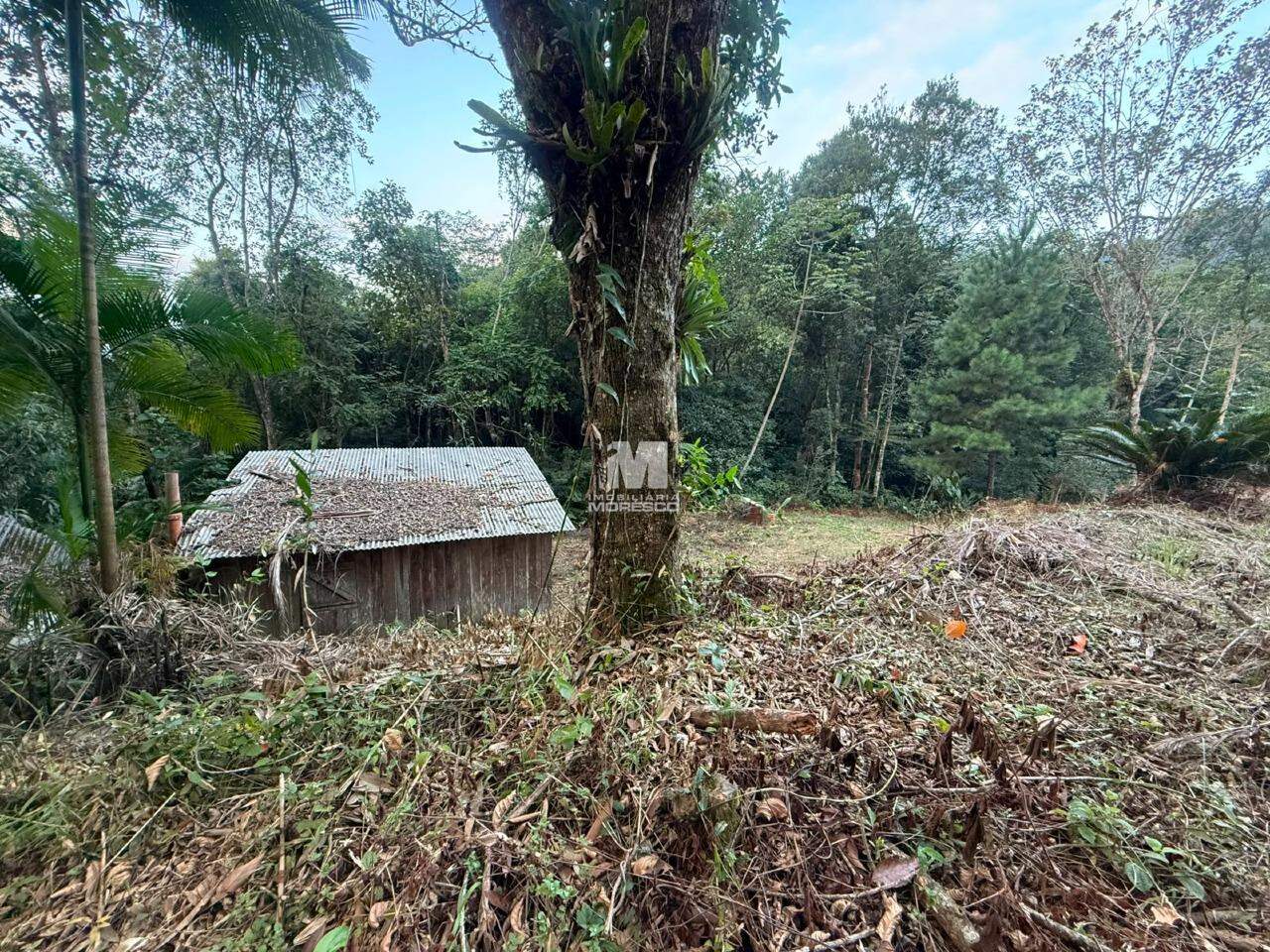 Sítio/Chácara à venda no bairro Guabiruba Sul: