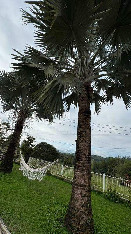 Sítio/Chácara à venda no bairro Campeche: 