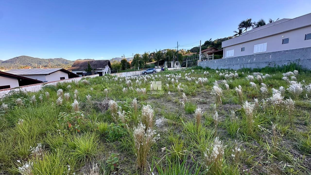Terreno à venda no bairro Dom Joaquim: 