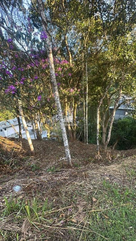 Terreno à venda no bairro Águas Claras: 