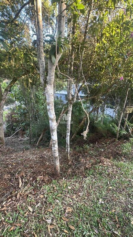Terreno à venda no bairro Águas Claras: 