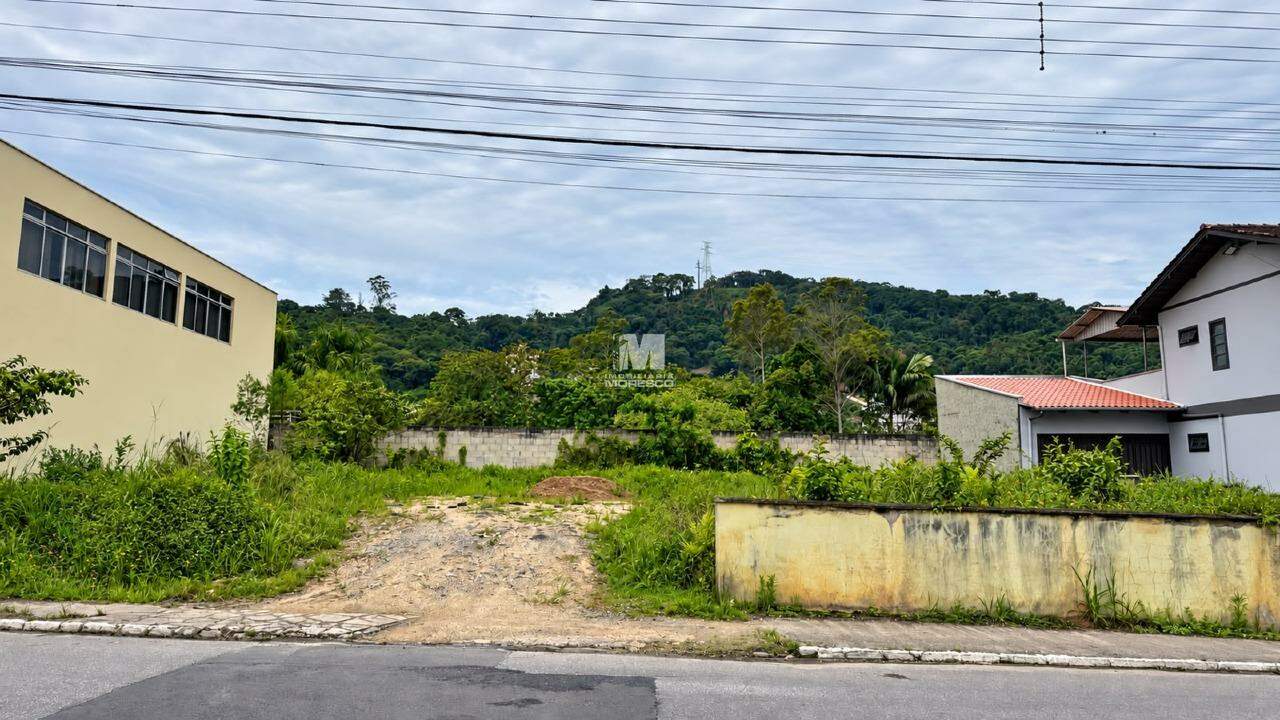 Terreno à venda no bairro Guarani: 