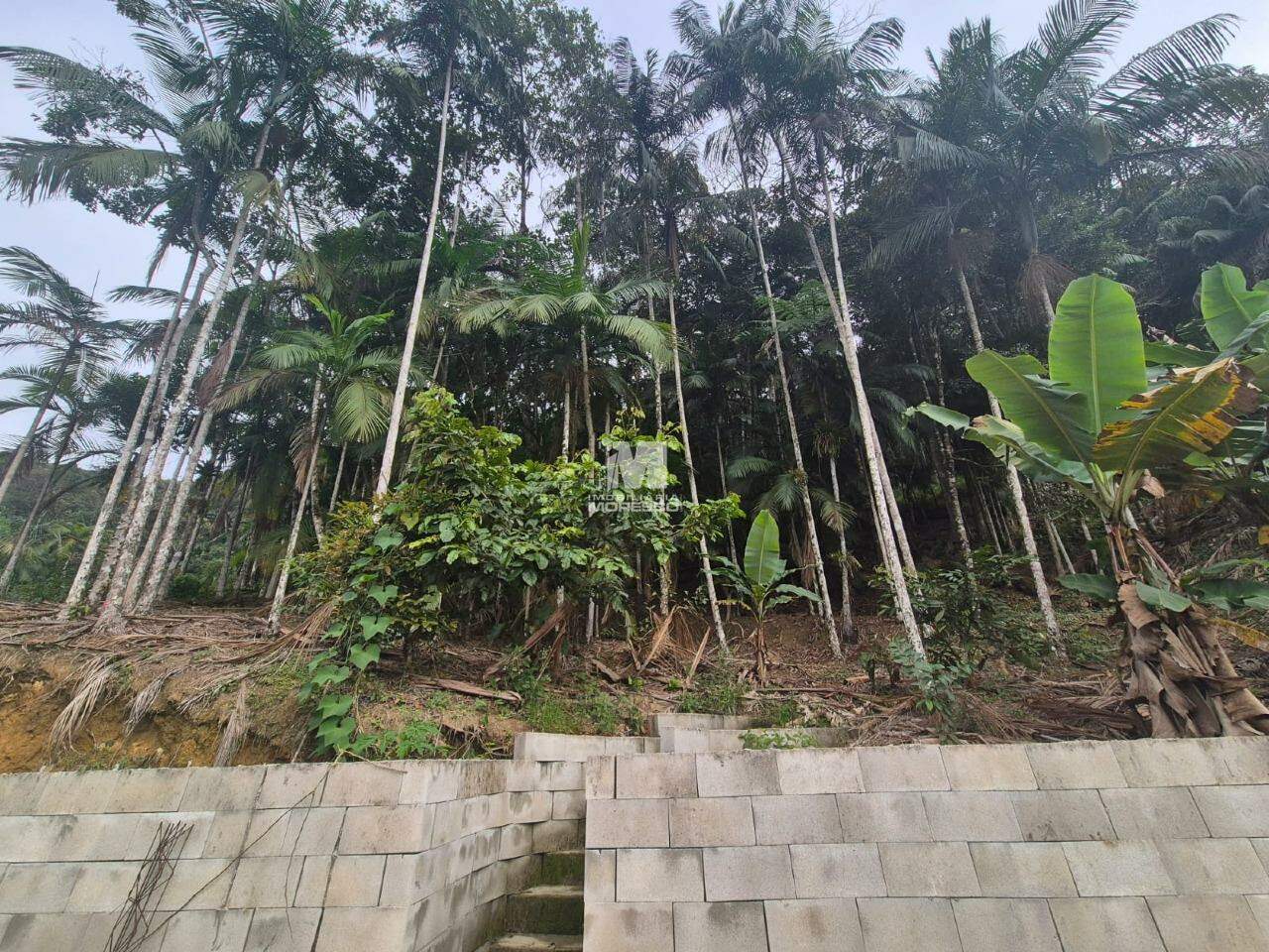 Terreno à venda no bairro Pomerânia: 