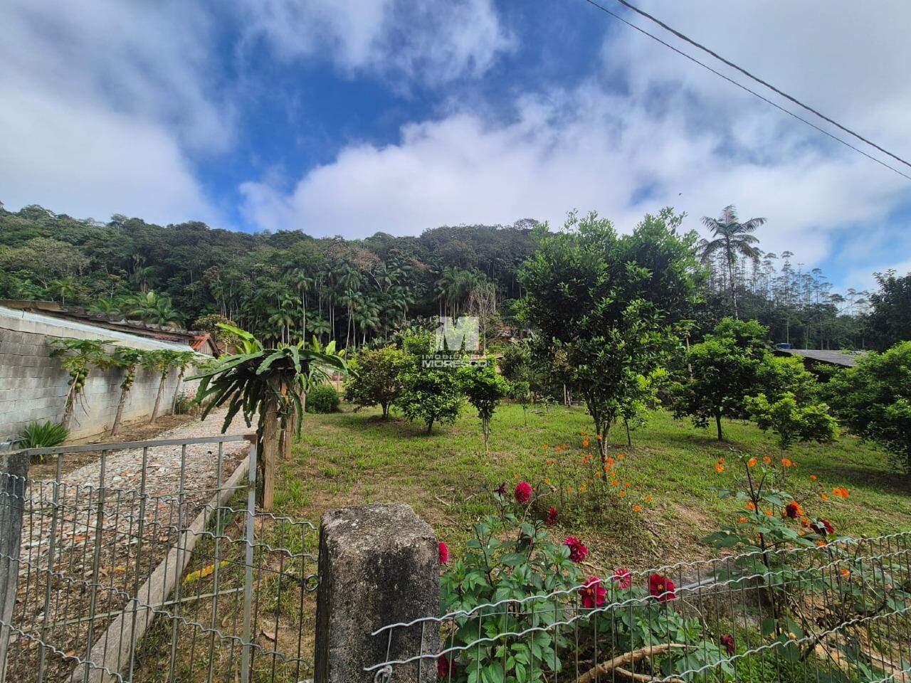 Terreno à venda no bairro Pomerânia: 