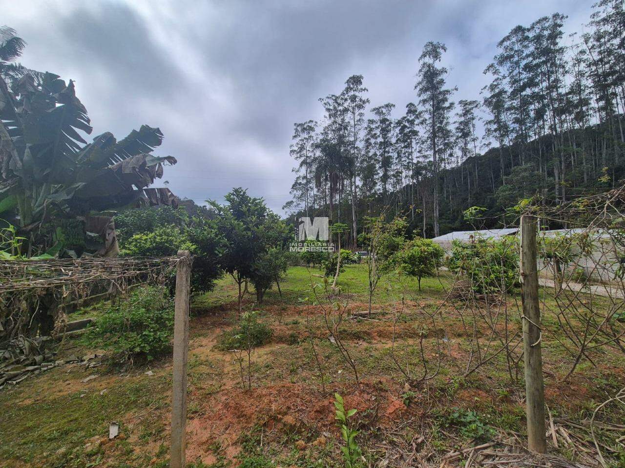 Terreno à venda no bairro Pomerânia: 
