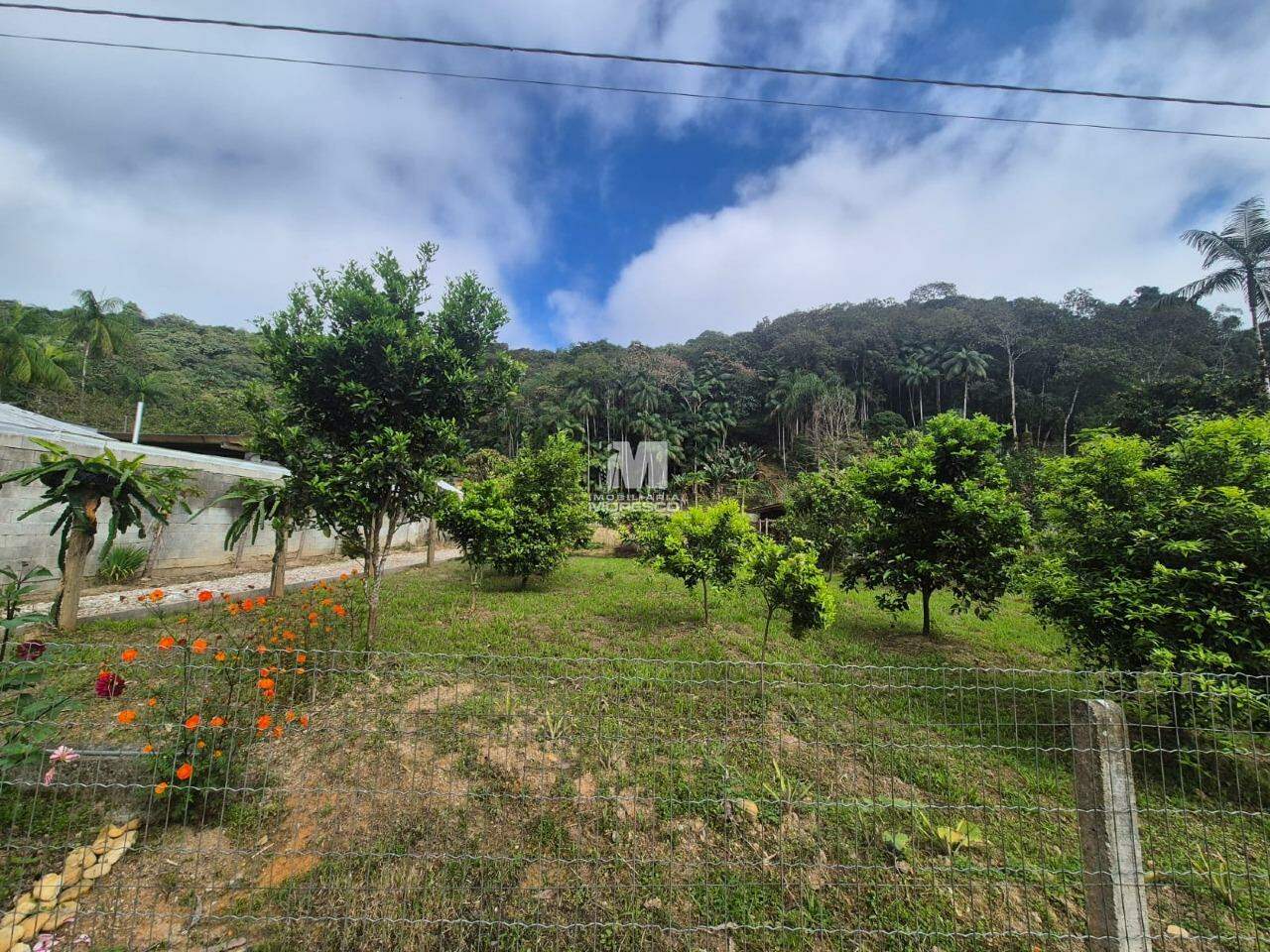Terreno à venda no bairro Pomerânia: 
