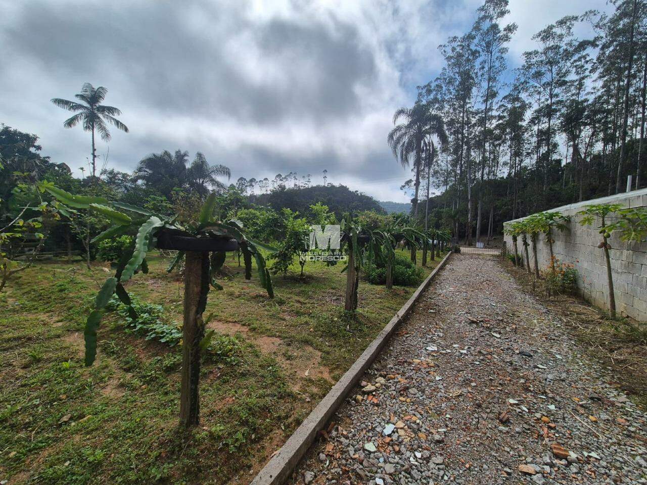 Terreno à venda no bairro Pomerânia: 