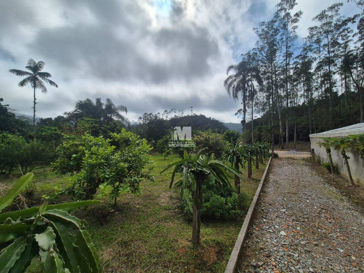 Terreno à venda no bairro Pomerânia: 