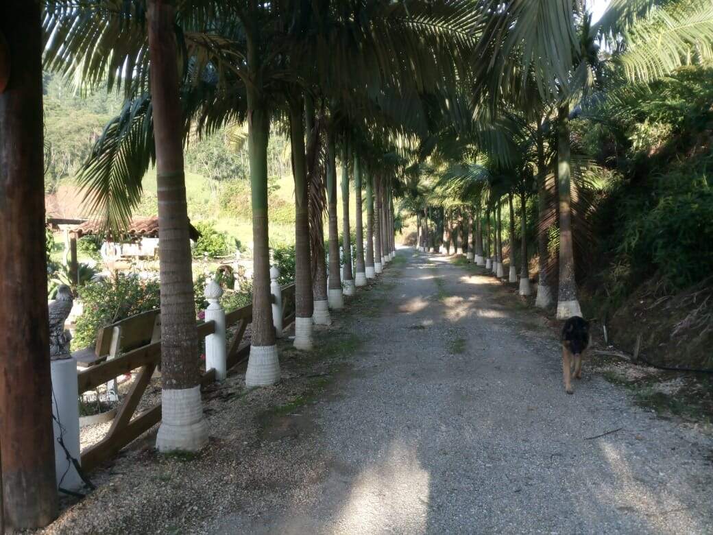 Fazenda/Sítios/Chácaras de 3 quartos, no bairro Águas Negras, em Botuverá | Eu Corretor