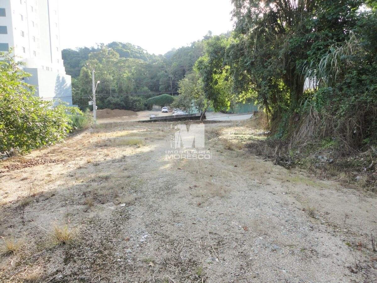 Lote/Terreno de 1125m² no bairro Centro, em Brusque | Eu Corretor