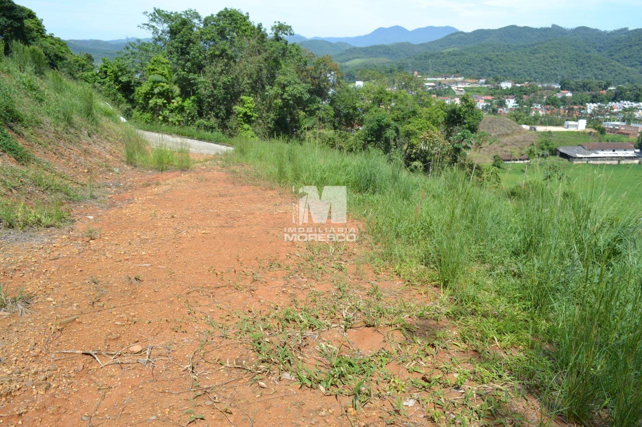 Terreno à venda no bairro Dom Joaquim: 