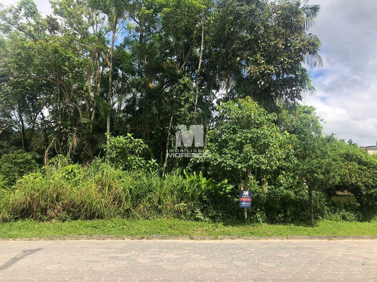 Terreno à venda no bairro Pomerânia: 