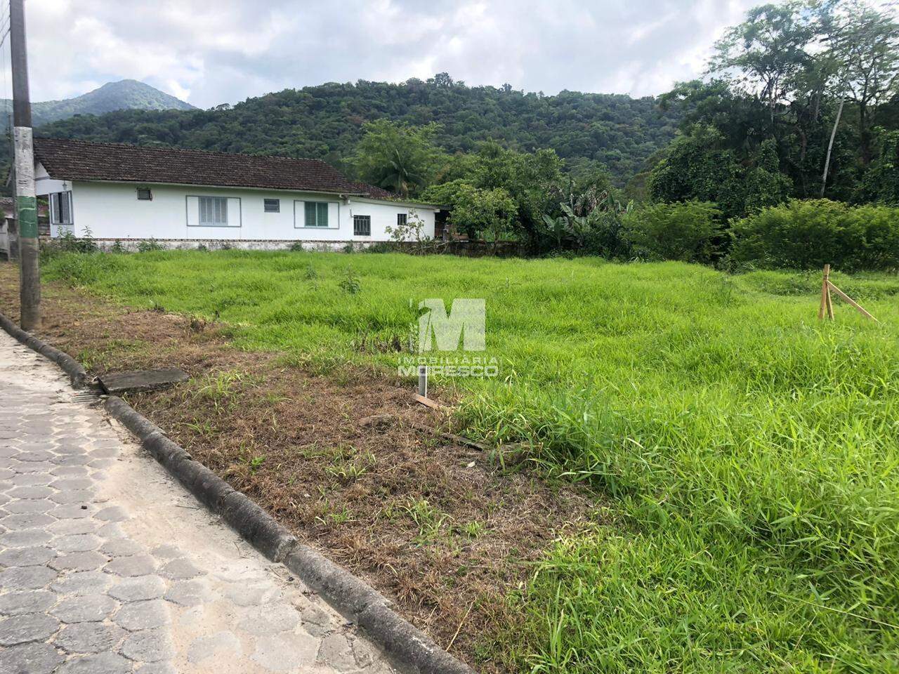 Terreno à venda no bairro Pomerânia: 