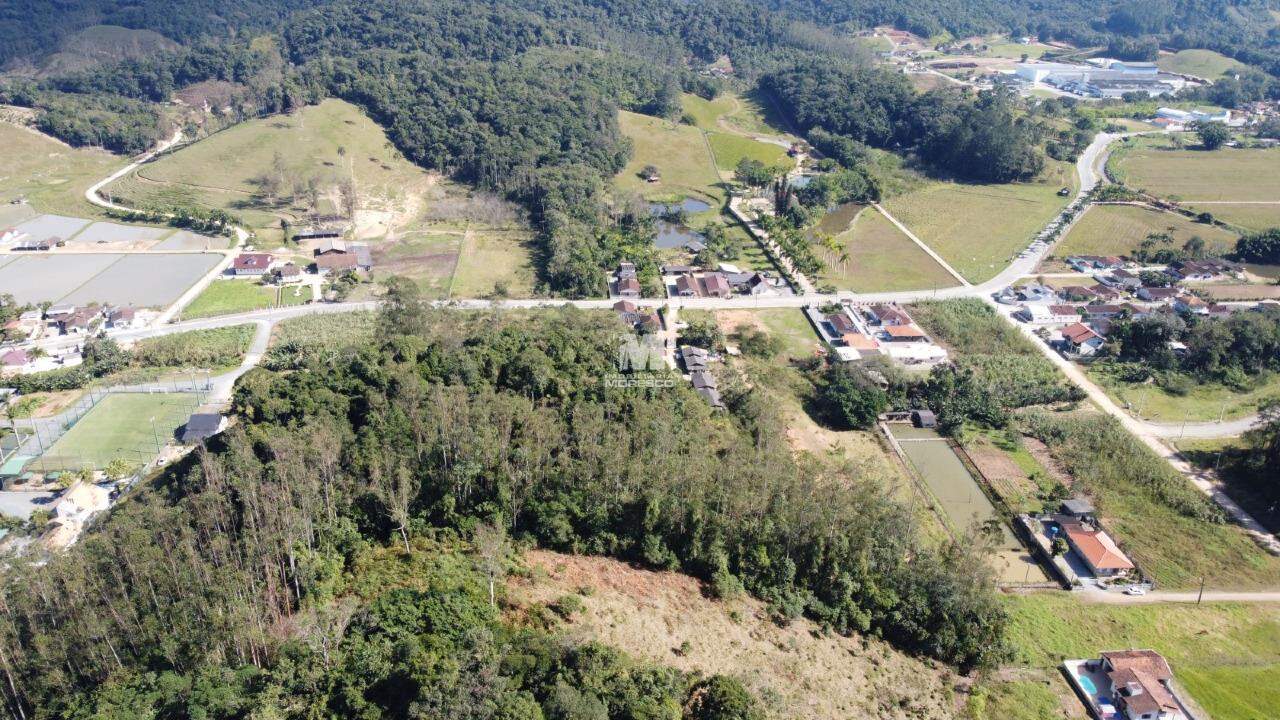 Terreno à venda no bairro Pomerânia: 