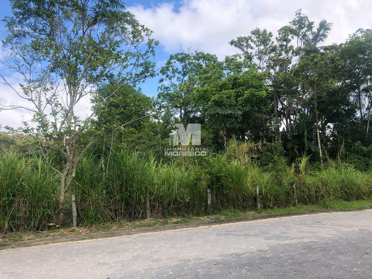 Terreno à venda no bairro Pomerânia: 