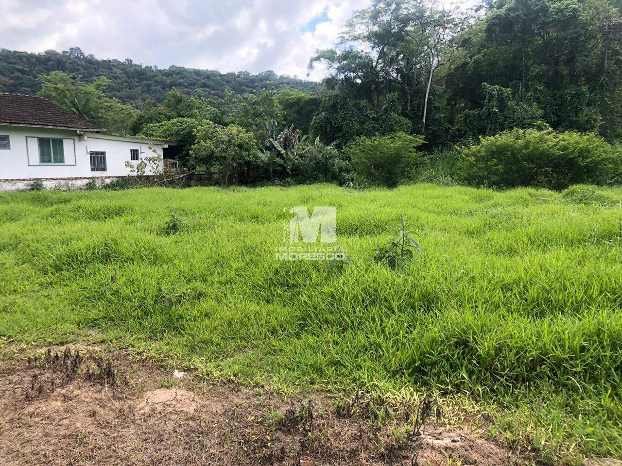 Terreno à venda no bairro Pomerânia: 