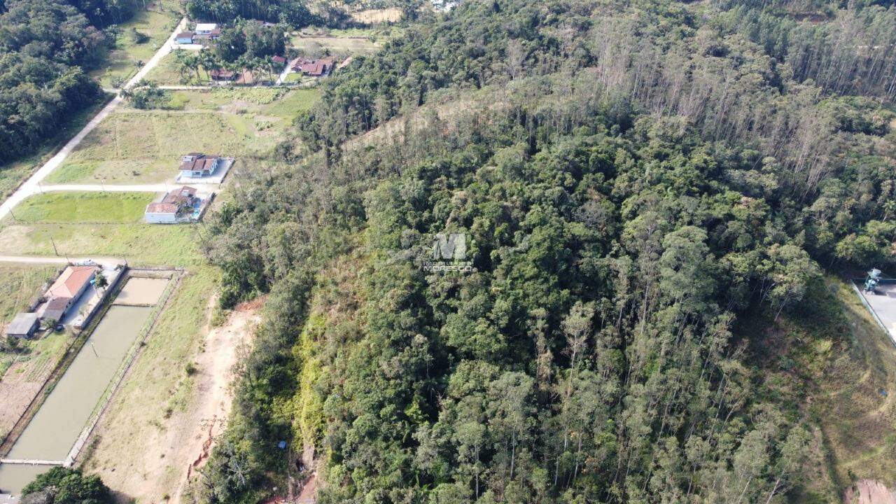 Terreno à venda no bairro Pomerânia: 