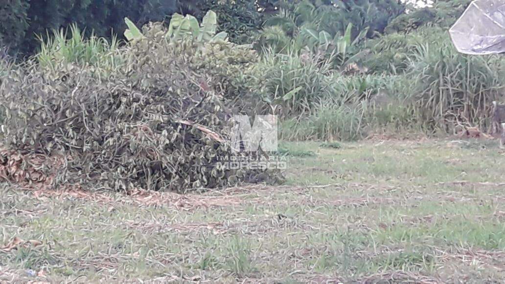 Terreno à venda no bairro Aymoré: 