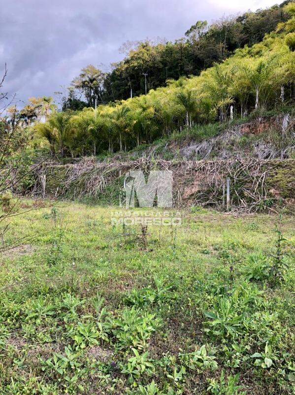 Fazenda/Sítios/Chácaras de no bairro Centro, em Botuverá | Eu Corretor