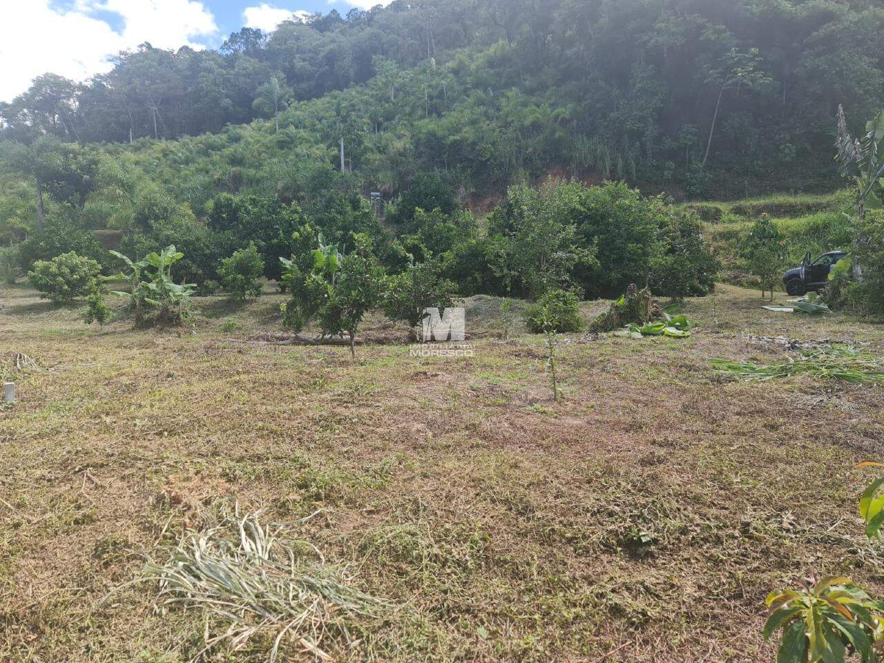 Fazenda/Sítios/Chácaras de no bairro Centro, em Botuverá | Eu Corretor