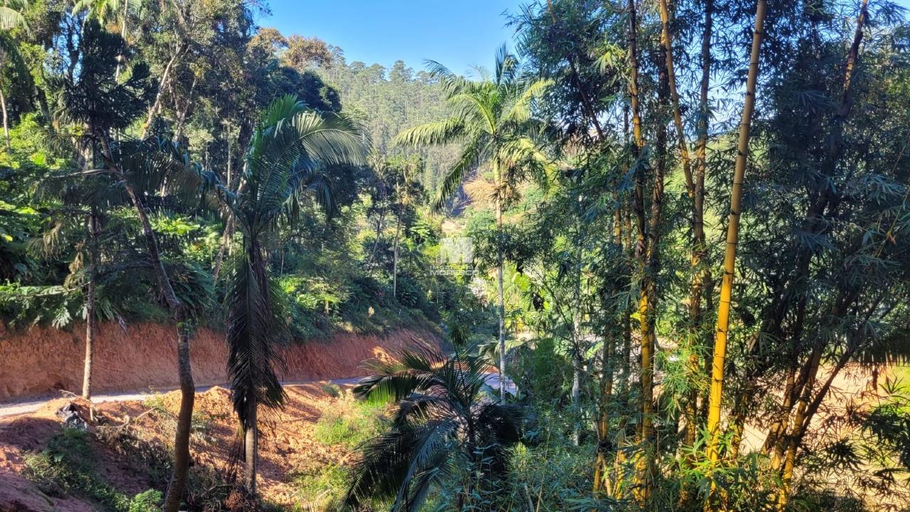 Sítio/Chácara à venda no bairro São Luiz: 