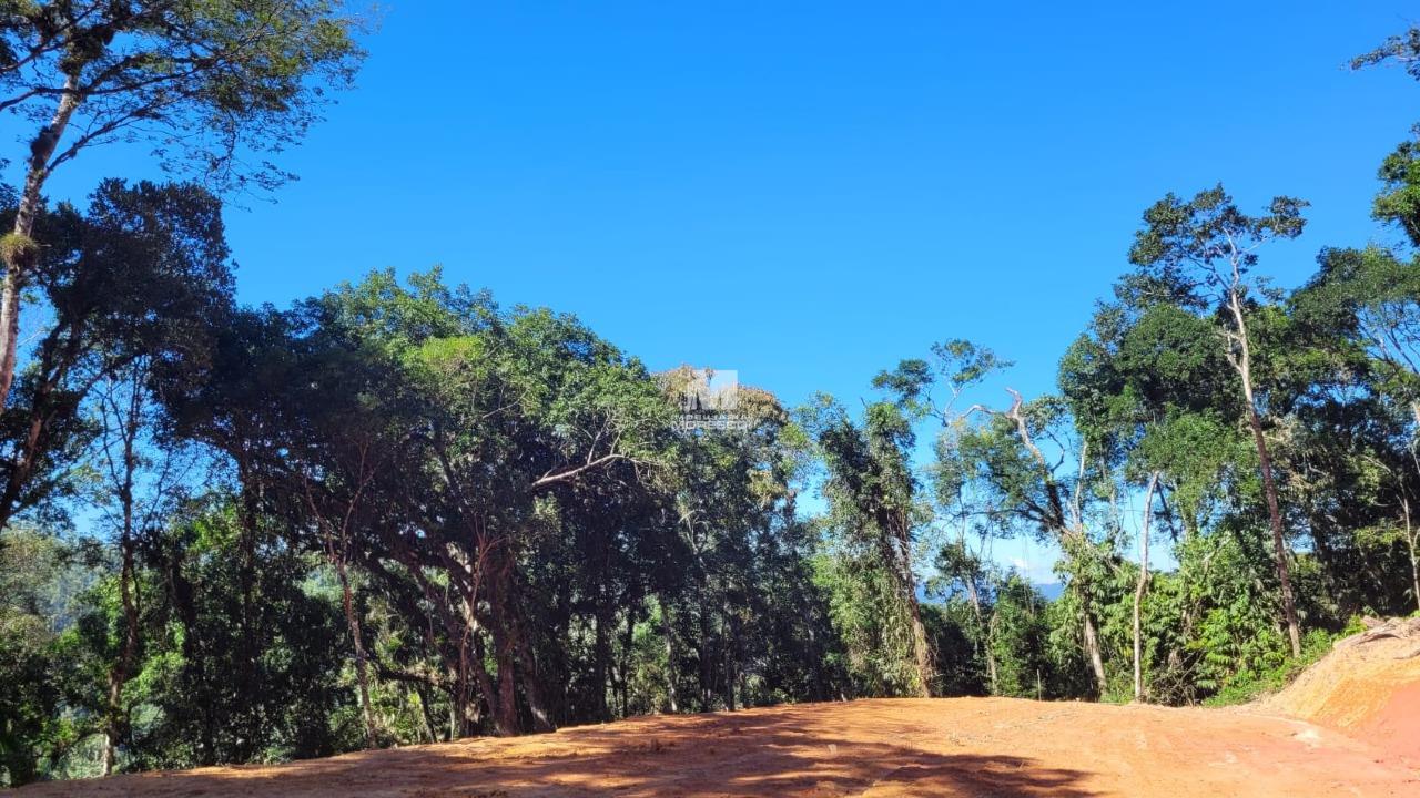 Sítio/Chácara à venda no bairro São Luiz: 