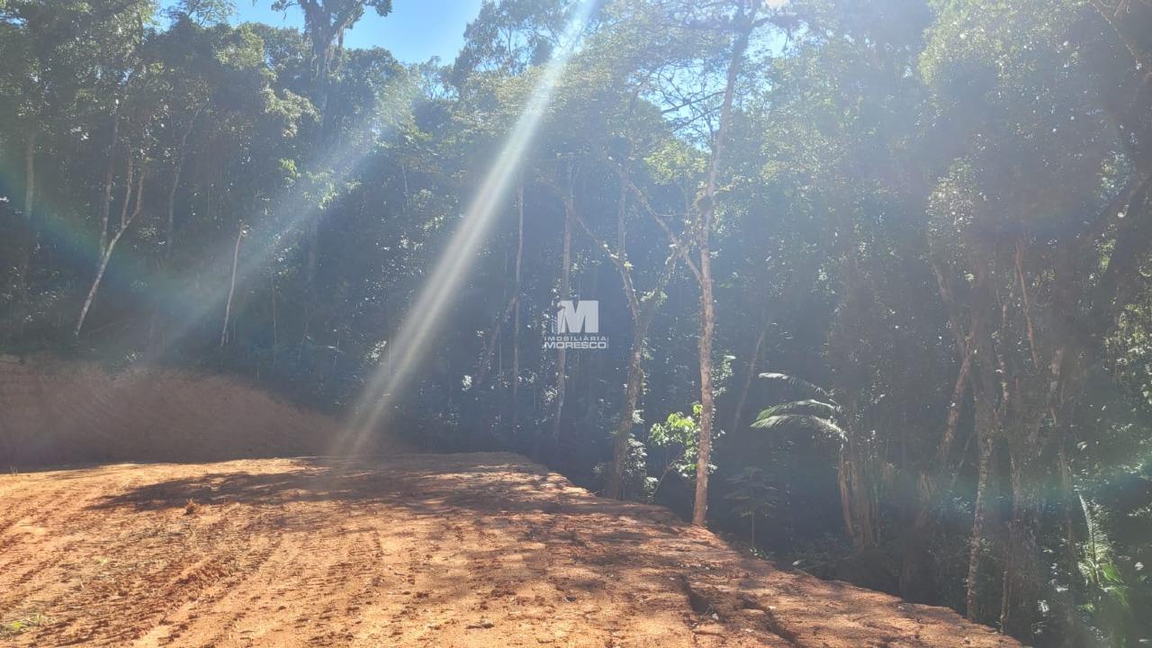 Sítio/Chácara à venda no bairro São Luiz: 