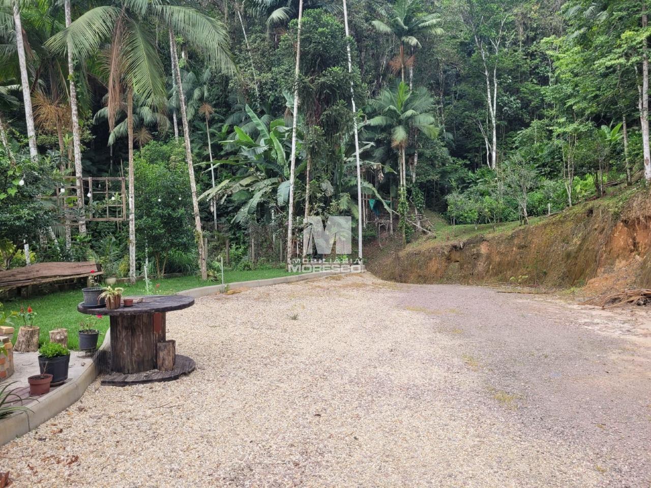 Sítio/Chácara à venda no bairro São Luiz: 