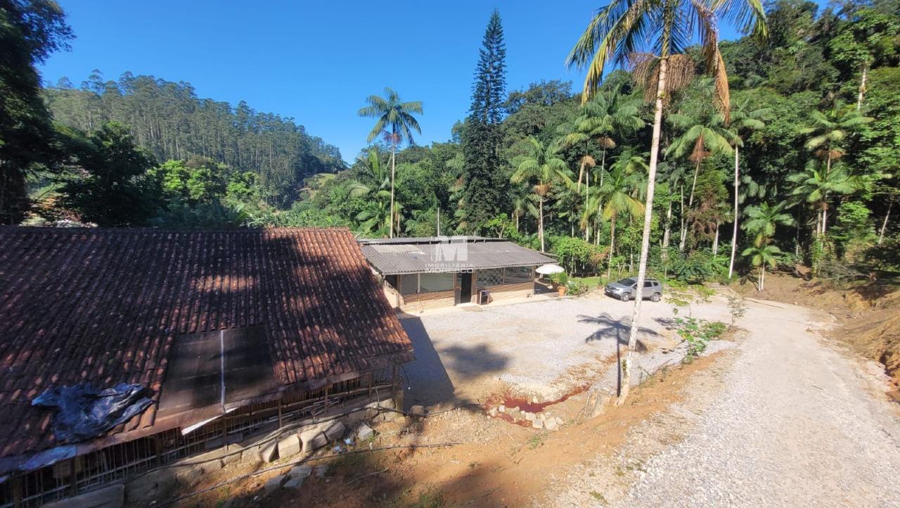 Sítio/Chácara à venda no bairro São Luiz: 